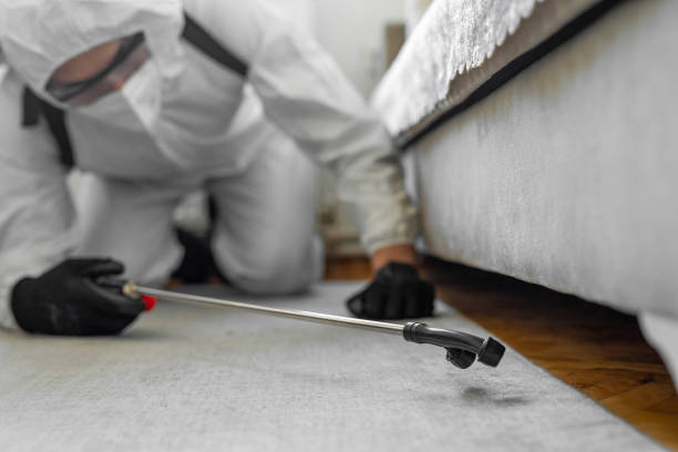 Professional Pest Control technician working in Camp Swift, TX
